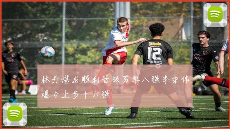 林丹谌龙顺利晋级男单八强李宗伟爆冷止步十六强