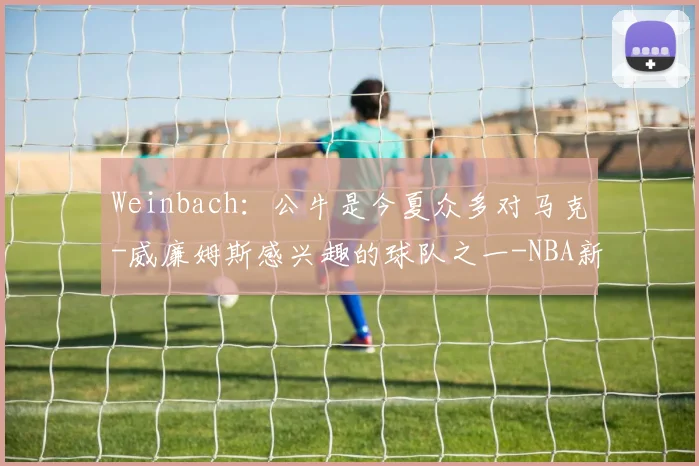 Weinbach：公牛是今夏众多对马克-威廉姆斯感兴趣的球队之一-NBA新闻