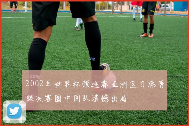 2002年世界杯预选赛亚洲区日韩晋级决赛圈中国队遗憾出局